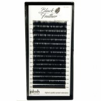 Black Feather od Jolash