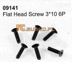 Flat head screw 3*10 6P