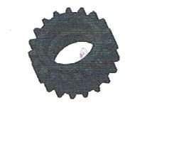 19T Gear 1pc - 10438