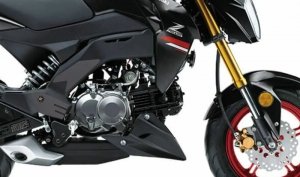 Zestaw osłon przeciwbłotnych RG Racing Eazi-Grip Scuff Guard Kit Kawasaki Z125/Pro 16-