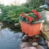 Aquael Filtr Przelewowy Dekor Oczko Do 5000L