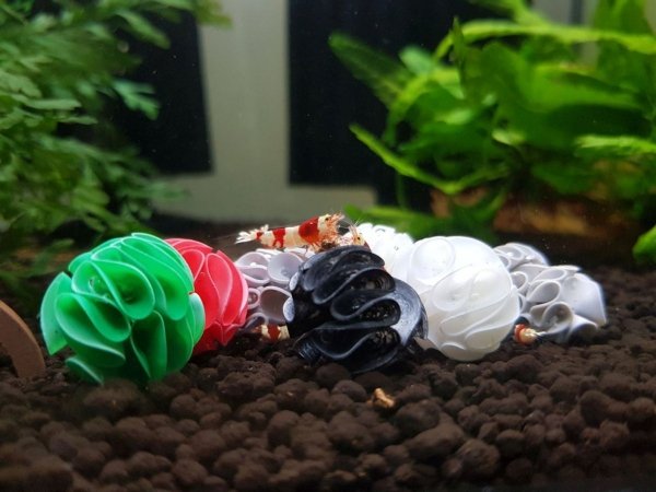 Baby Shrimp Shelters Biały 1 szt super schronienie