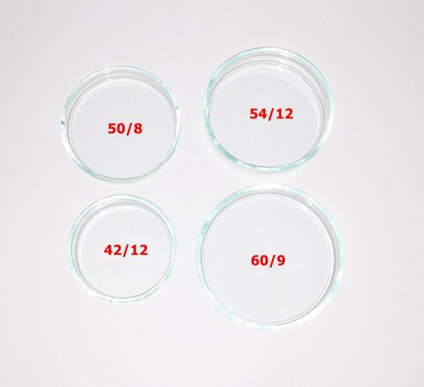 Deep Aqua Szklany Karmnik Karmidło 54/12