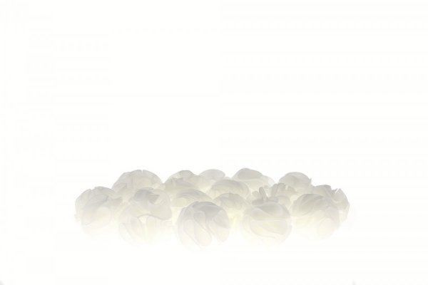 Baby Shrimp Shelters Biały 1 szt super schronienie