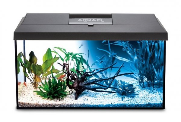 Aquael Pokrywa Leddy 60 Day&amp;Night 60x30cm 7W LED Czarna