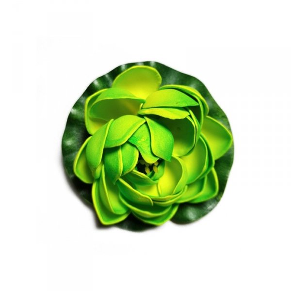 Deep Aqua Lilia do Oczka Wodnego Zielona 10cm