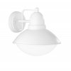 AMUR 227460131 TRIO