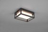 WITHAM 277860142 TRIO