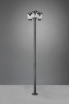 CAVADO 411060342 TRIO