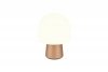 STEEN 568200165