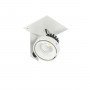 ITALUX PATRIZIO SINGLE GL7118-1/1X12W 4000K WH+BL LAMPA SPOT  NOWOCZESNA  BIAŁO CZARNA DO SALONU 