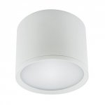 IDEUS PLAFON SPOT TUBA ROLEN LED 10W WHITE NW
