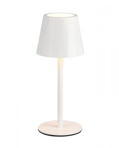 DIAZ R55961131