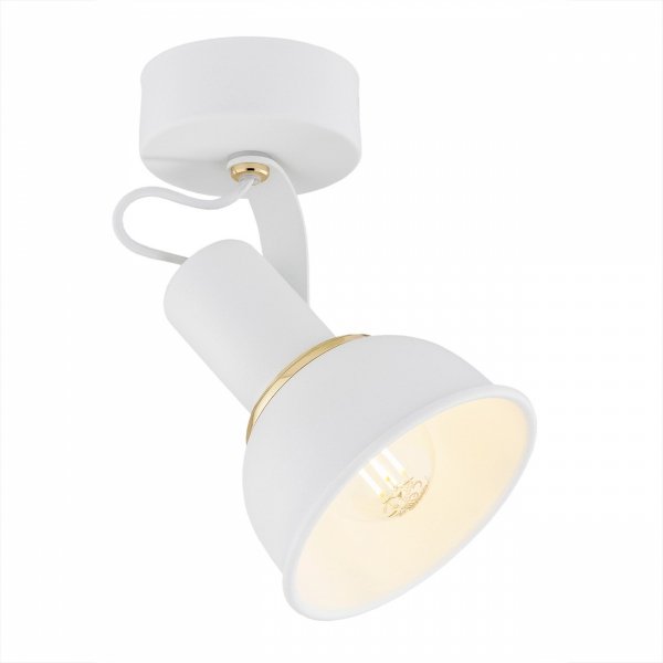LAMPA SUFITOWA PLAFON SPOT BIAŁO ZŁOTY NOWOCZESNY ARGON TWIST 4899