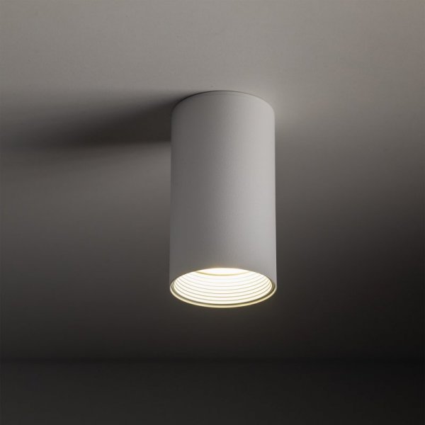 AMIS WHITE  DOWNLIGHT