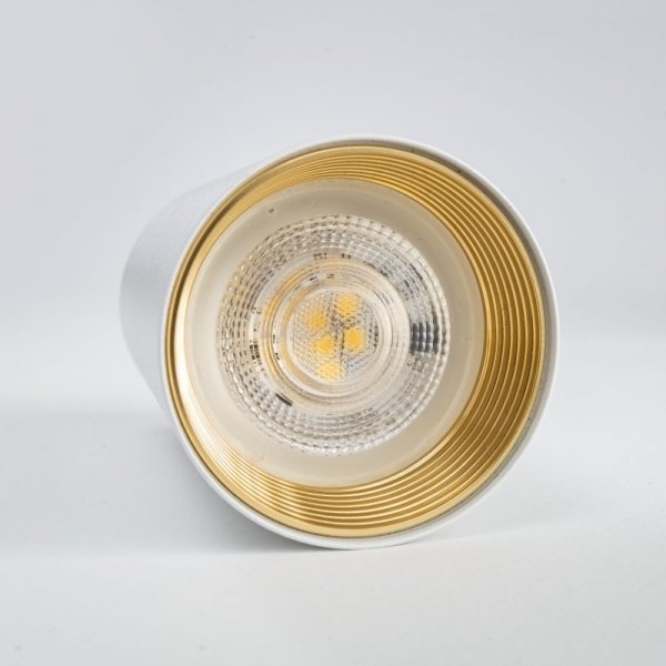 AMIS WHITE  DOWNLIGHT