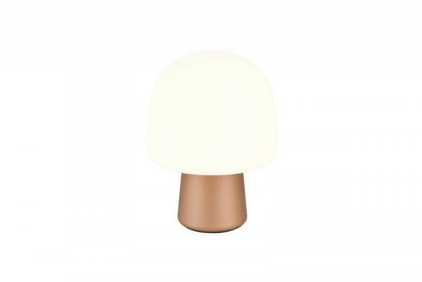 STEEN 568200165