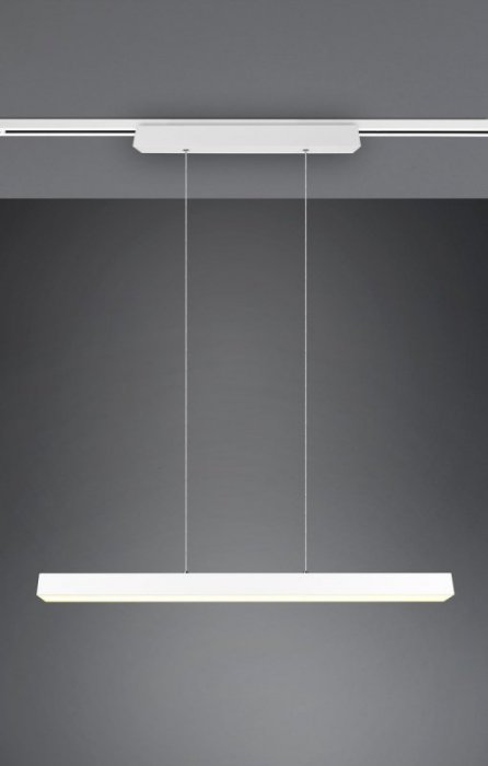 DUOLINE 73043131 TRIO