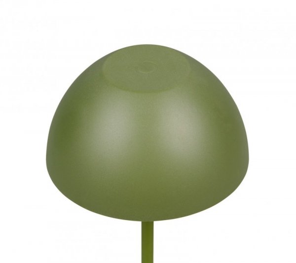 ORTIZ R55601115
