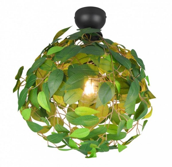 LEAVY R60461015