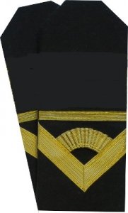 pagony na płaszcz MW chorąży