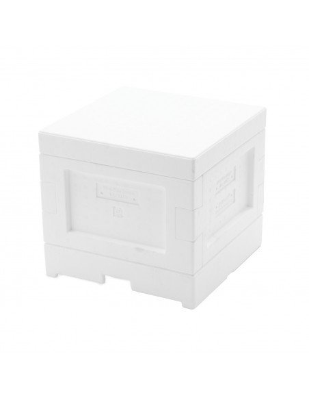 Mini plus beehive with hygienic bottom - polystyrene