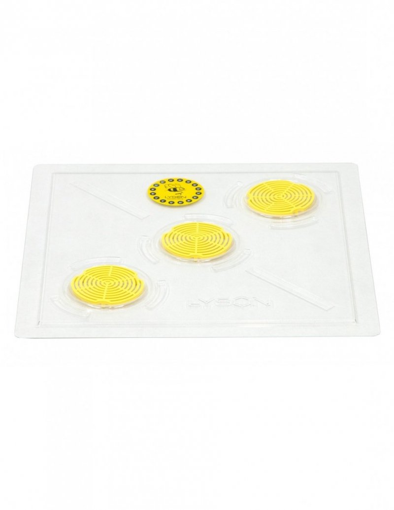 Transparent Crown Board, plastic, Wielkopolska 10-Frame