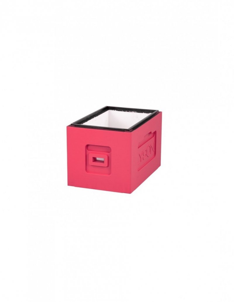 Hive body - Wielkopolski - painted (pink)