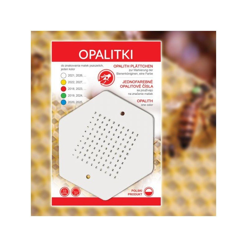 Opalitki polskie - biała