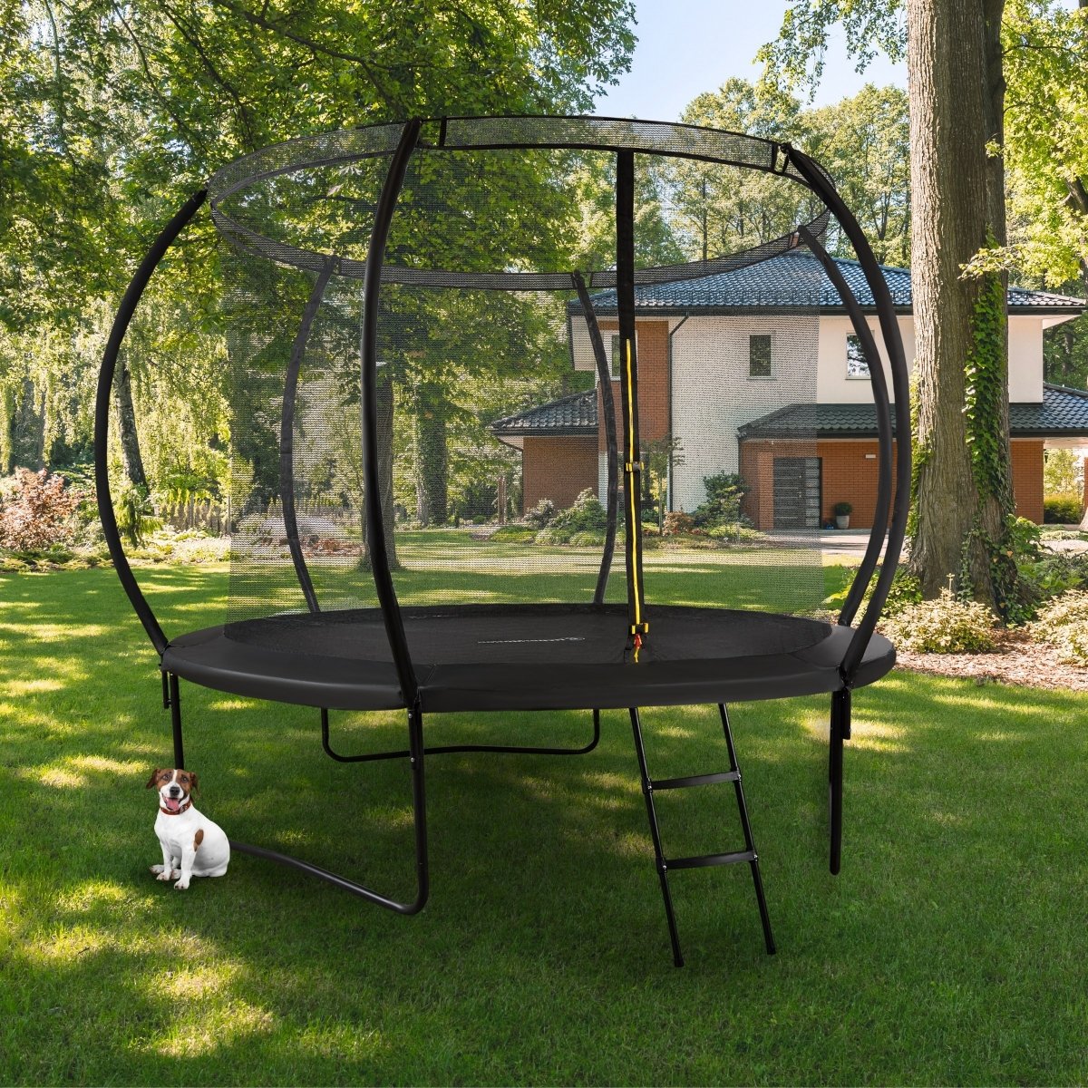 Trampolina ogrodowa XL dla dzieci HyperMotion - 305 cm 10FT - z drabinką i siatką wewnętrzną - do domu i ogrodu