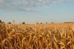 Jak zdobyć dofinansowanie ARiMR na zbiorniki na wodę i nawozy płynne? Kompletny przewodnik o dotacjach do 200 tys. zł dla rolników Jak zdobyć dofinansowanie ARiMR na zbiorniki na wodę i nawozy płynne? Kompletny przewodnik o dotacjach do 200 tys. zł dla rolników