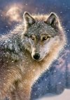 Puzzle Samotny wilk