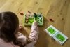 Smart Games Zwierzaki na wsi Gra logiczna dla dzieci 5+