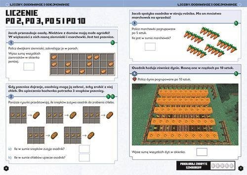 Minecraft Magazadania matematyczne 8+ 