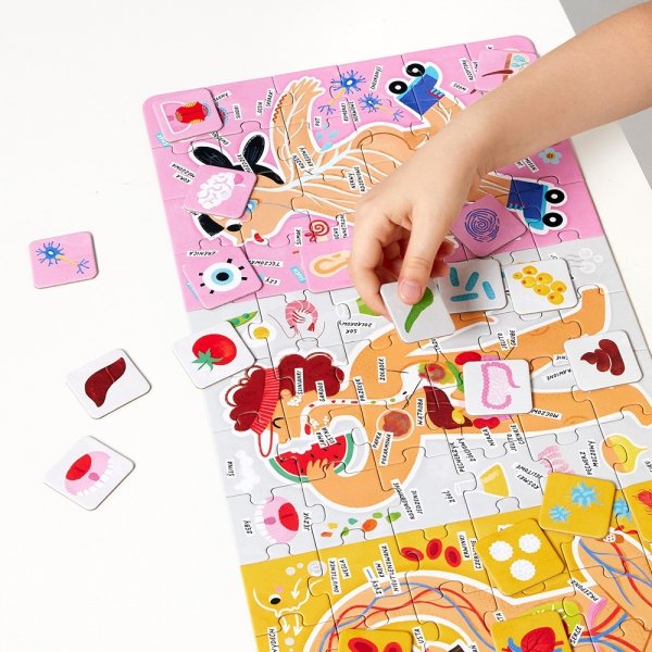 CzuCzu Puzzle Tak działa MOJE CIAŁO 96 elementów
