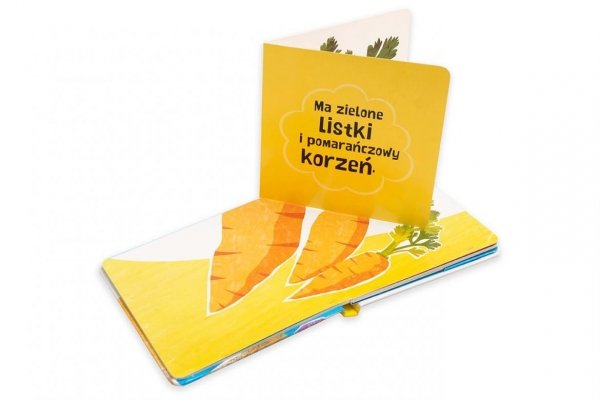 Smakołyki Pierwsze zagadki Książeczka rozkładana Akademia mądrego dziecka