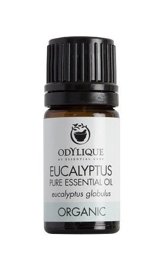 Odylique by Essential Care organiczny olejek eteryczny Eukaliptus, 10 ml