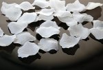 Płatki róż w woreczku 500 szt białe
