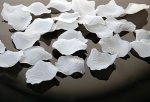 Płatki róż białe 100 szt  PLRD100-008