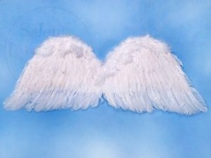 Skrzydła anioła białe 75x30cm