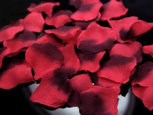 Płatki róż czerwone i bordowe 500szt PLRD500-007B