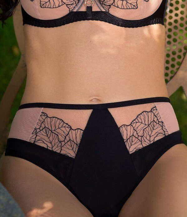 Brazyliany Gorsenia 926 Palmira 