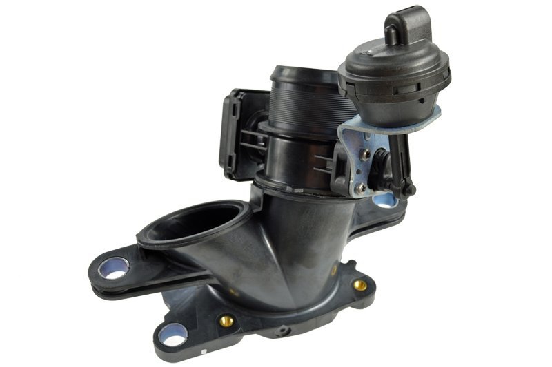 Frankberg Zahnriemensatz Mit Wasserpumpe Für Diesel - Kompatibel Mit Citroen, Peugeot, Ford