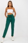 Spodnie Dresowe Model RV-DR-7517.22 Dark Green - Relevance