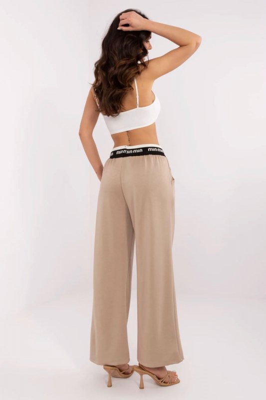 Spodnie Dresowe Model MI-SP-617961.89 Dark Beige - Italy Moda