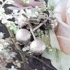 gold plated earrings with exclusive cubic zirconia