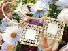 gold plated earrings with exclusive cubic zirconia