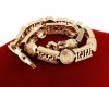 gold bracelet for a gold-plated leg