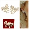 gold plated earrings with exclusive cubic zirconia