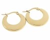gold earrings made of stainless steel